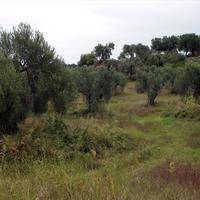 Land plot in Greece