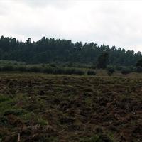 Land plot in Greece
