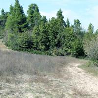 Land plot in Greece