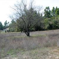 Land plot in Greece