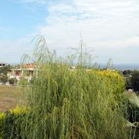 Flat in Greece, 100 sq.m.