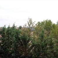 Flat in Greece, 100 sq.m.