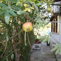 Other in Greece, 83 sq.m.