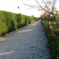 Вилла в Греции, 550 кв.м.