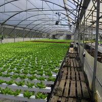 Business center in Greece, 115 sq.m.