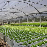 Business center in Greece, 115 sq.m.