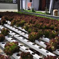 Business center in Greece, 115 sq.m.