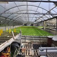 Business center in Greece, 115 sq.m.