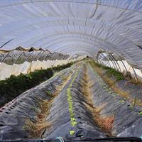 Business center in Greece, 115 sq.m.