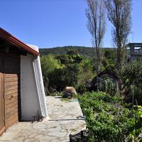 Business center in Greece, 115 sq.m.