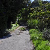 Business center in Greece, 115 sq.m.