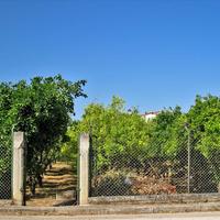 Земельный участок в Греции