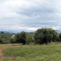 Land plot in Greece