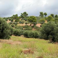 Land plot in Greece