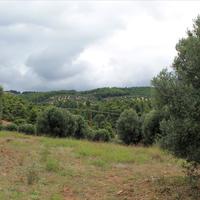 Land plot in Greece