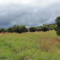 Land plot in Greece