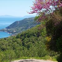 Вилла в Греции, 383 кв.м.