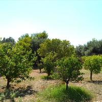 Вилла в Греции, 330 кв.м.