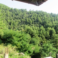 Другое в Греции, 84 кв.м.