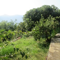 Другое в Греции, 84 кв.м.