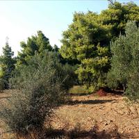 Land plot in Greece