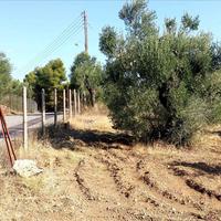 Land plot in Greece