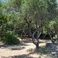 Другое в Греции, 120 кв.м.