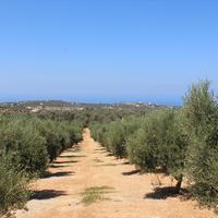 Земельный участок в Греции