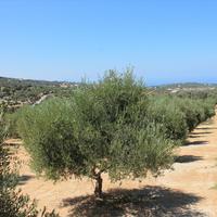 Земельный участок в Греции