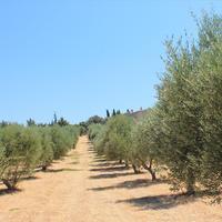 Земельный участок в Греции