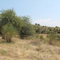 Land plot in Greece