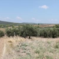 Земельный участок в Греции