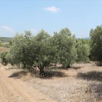 Земельный участок в Греции