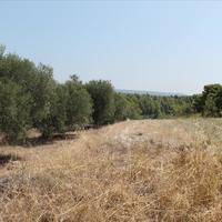 Земельный участок в Греции