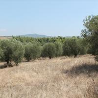 Земельный участок в Греции