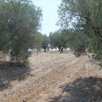 Земельный участок в Греции