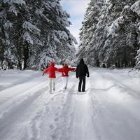 Отель (гостиница) в Греции, 600 кв.м.