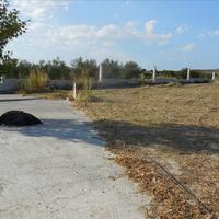 Другое в Греции, 220 кв.м.