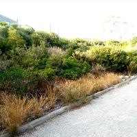 Земельный участок в Греции