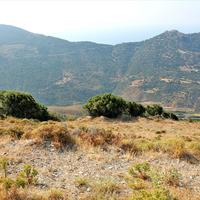Land plot in Greece