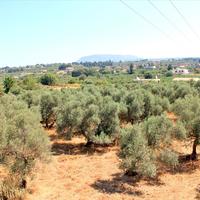 Земельный участок в Греции