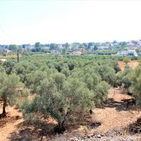 Земельный участок в Греции