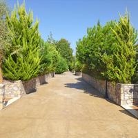 Villa in Greece, 180 sq.m.