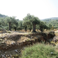 Land plot in Greece