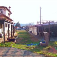 Villa in Greece, 805 sq.m.