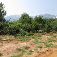 Land plot in Greece