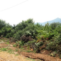 Land plot in Greece