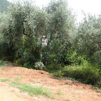 Земельный участок в Греции