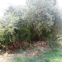 Земельный участок в Греции