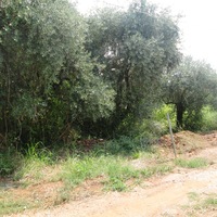 Земельный участок в Греции